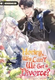 Honey, Why Can't We Get a Divorce?