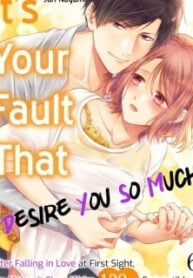 Ore ga Yokujo Suruno ha Kimi no Sei Hitomebore no Chiaisho 120% Etchi