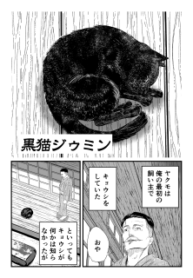 Black Cat Jiumin