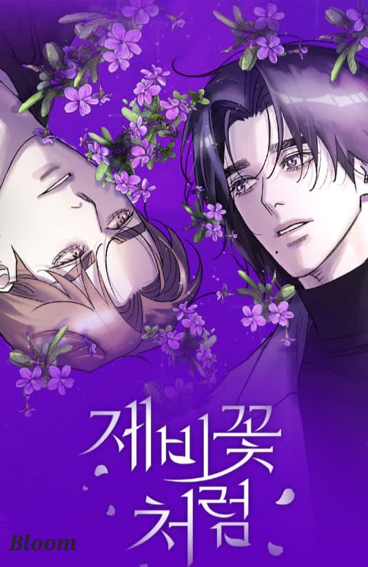 Like a Violet