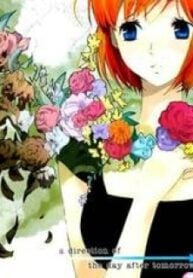 Asatte no Houkou