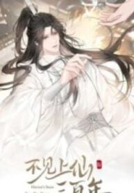 Unseen Immortal for 300 Years